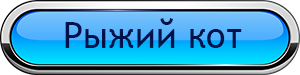 Рыжий кот